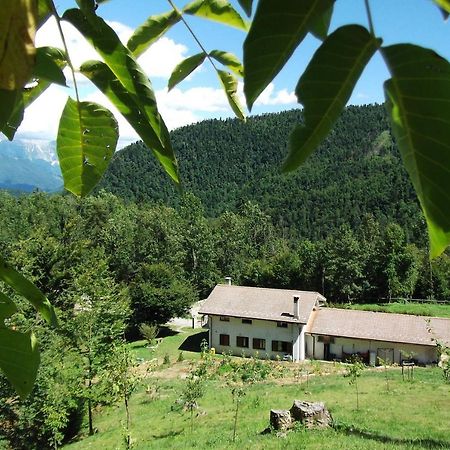 Bosco Delle Rune ..Un Angolo Di Paradiso Platischis Zewnętrze zdjęcie
