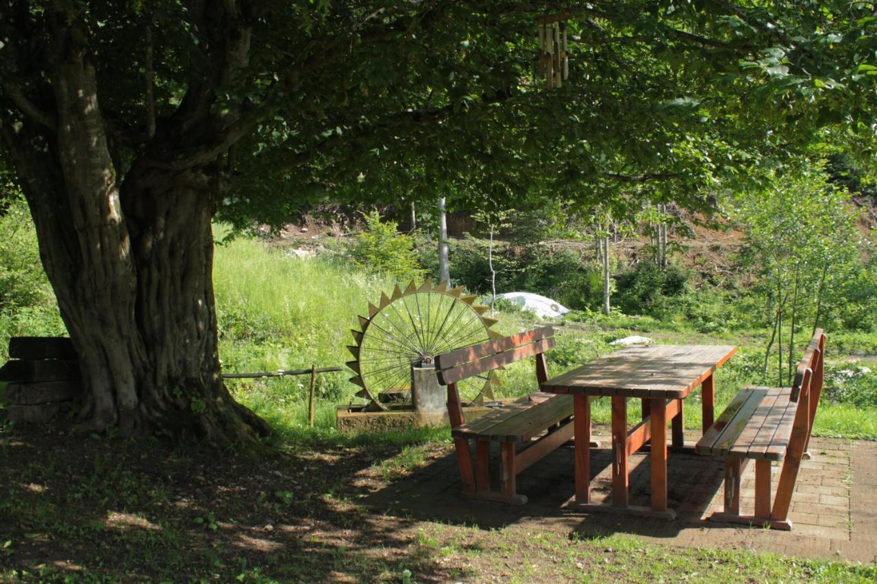 Bosco Delle Rune ..Un Angolo Di Paradiso Platischis Zewnętrze zdjęcie