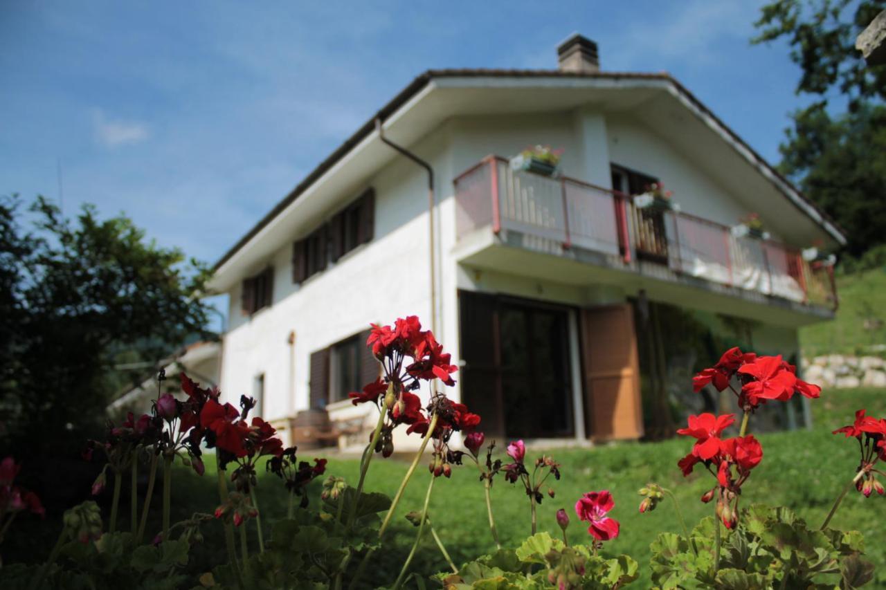 Bosco Delle Rune ..Un Angolo Di Paradiso Platischis Zewnętrze zdjęcie