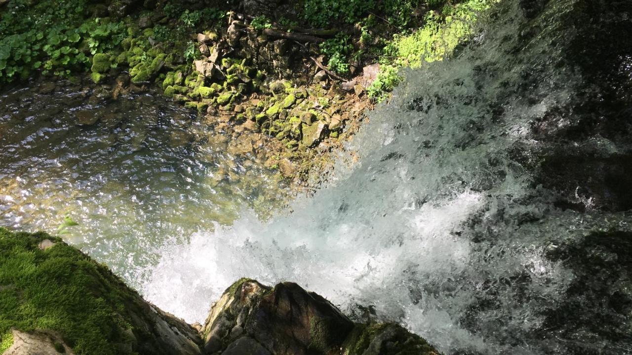 Bosco Delle Rune ..Un Angolo Di Paradiso Platischis Zewnętrze zdjęcie