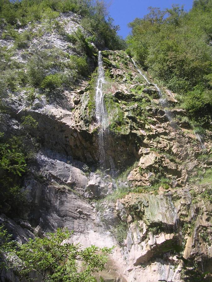 Bosco Delle Rune ..Un Angolo Di Paradiso Platischis Zewnętrze zdjęcie