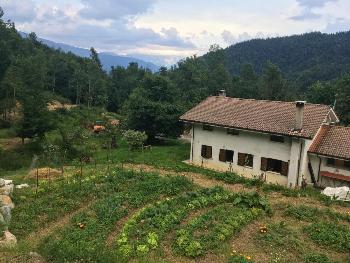 Bosco Delle Rune ..Un Angolo Di Paradiso Platischis Zewnętrze zdjęcie