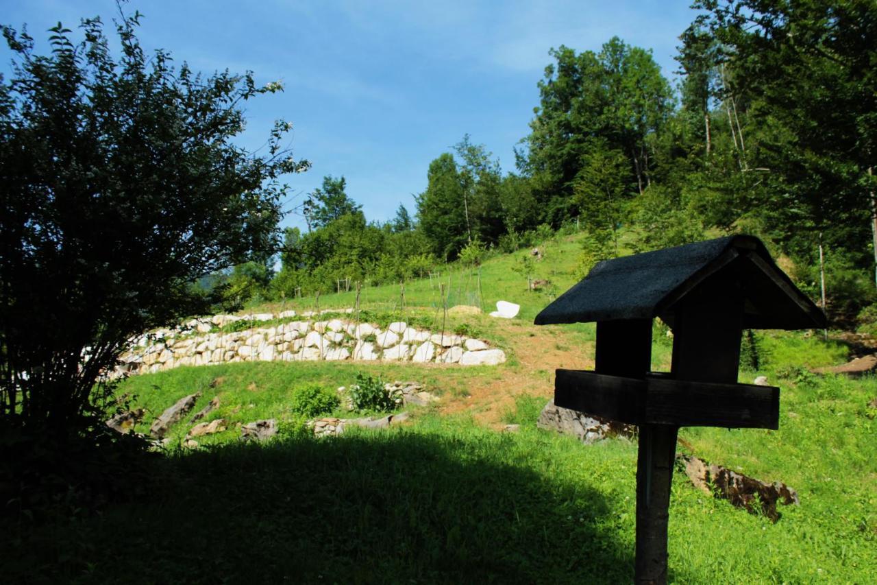 Bosco Delle Rune ..Un Angolo Di Paradiso Platischis Zewnętrze zdjęcie