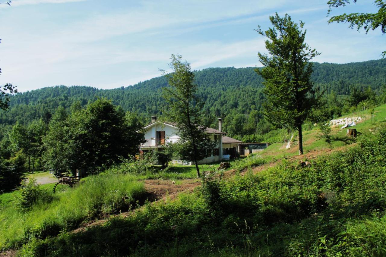 Bosco Delle Rune ..Un Angolo Di Paradiso Platischis Zewnętrze zdjęcie
