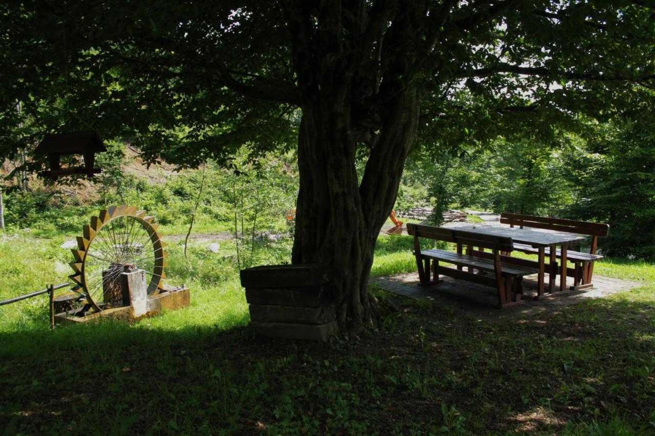 Bosco Delle Rune ..Un Angolo Di Paradiso Platischis Zewnętrze zdjęcie